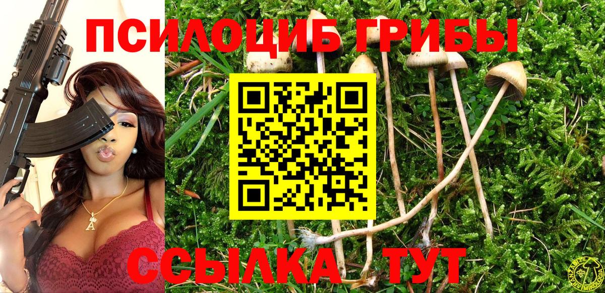 Псилоцибиновые грибы GOLDEN TEACHER  Вход с VPN  Ипатово 